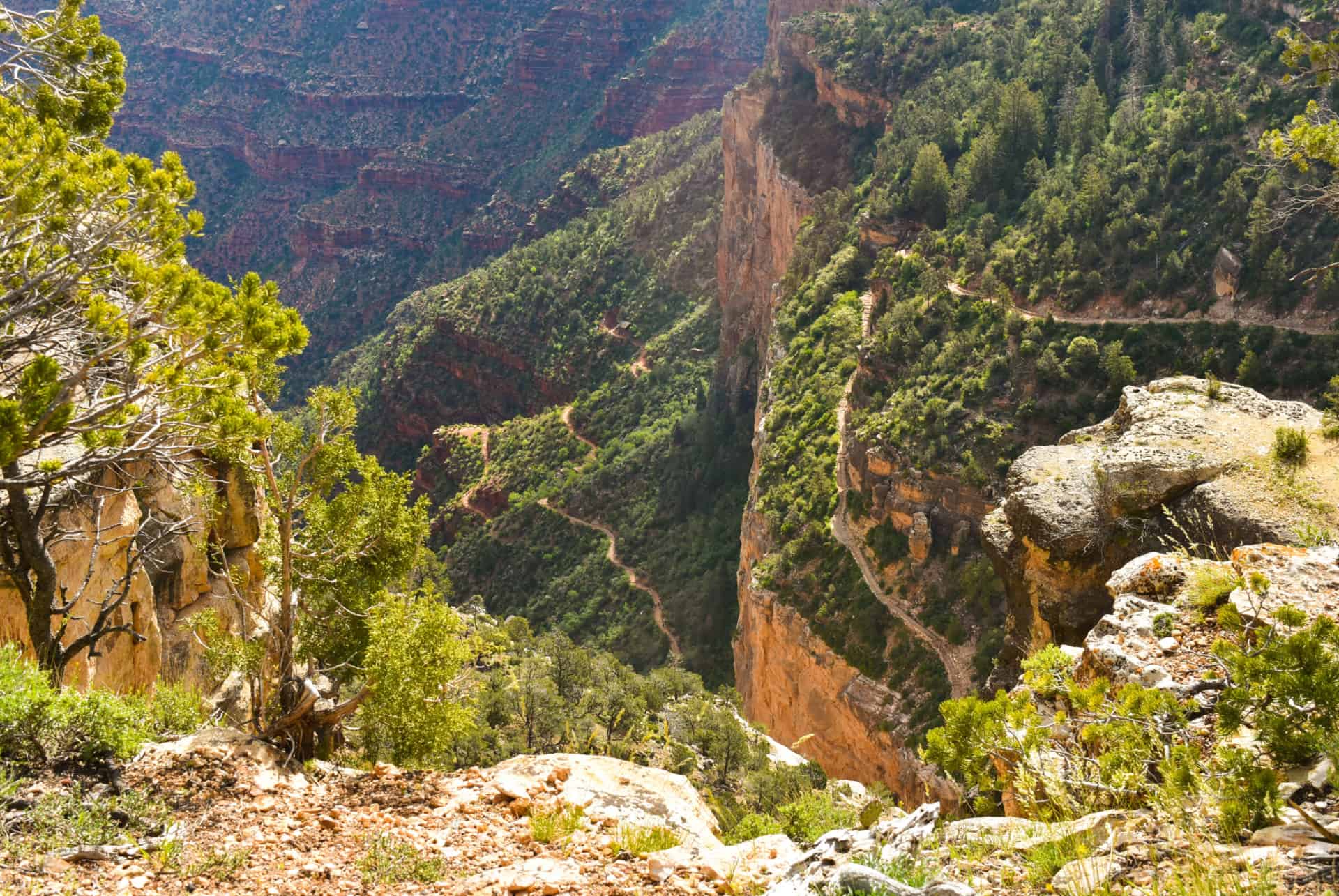bright angel trail grand canyon