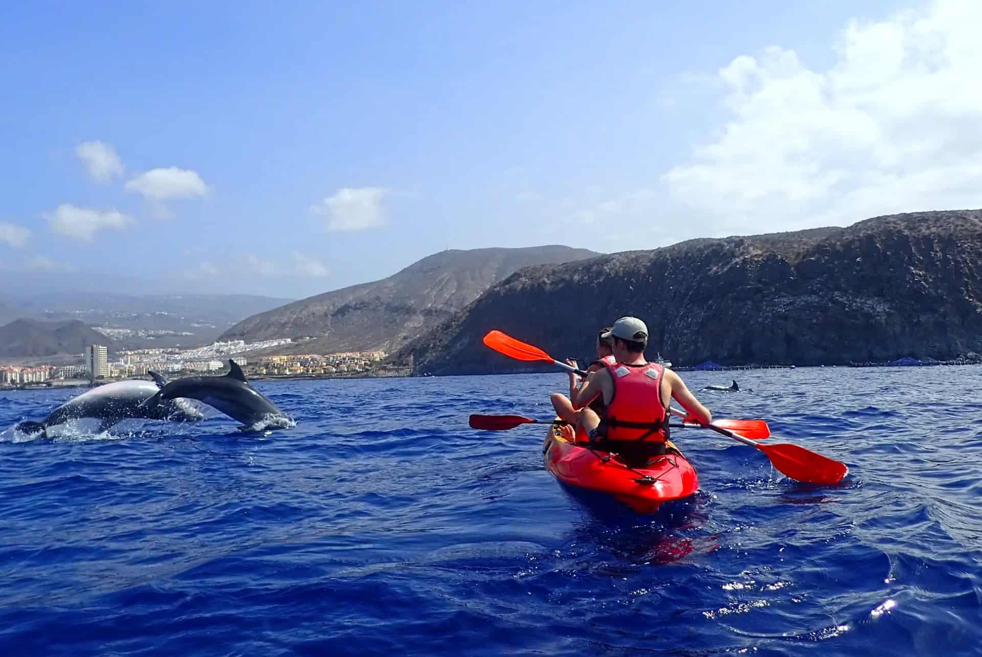 sortie kayak tenerife