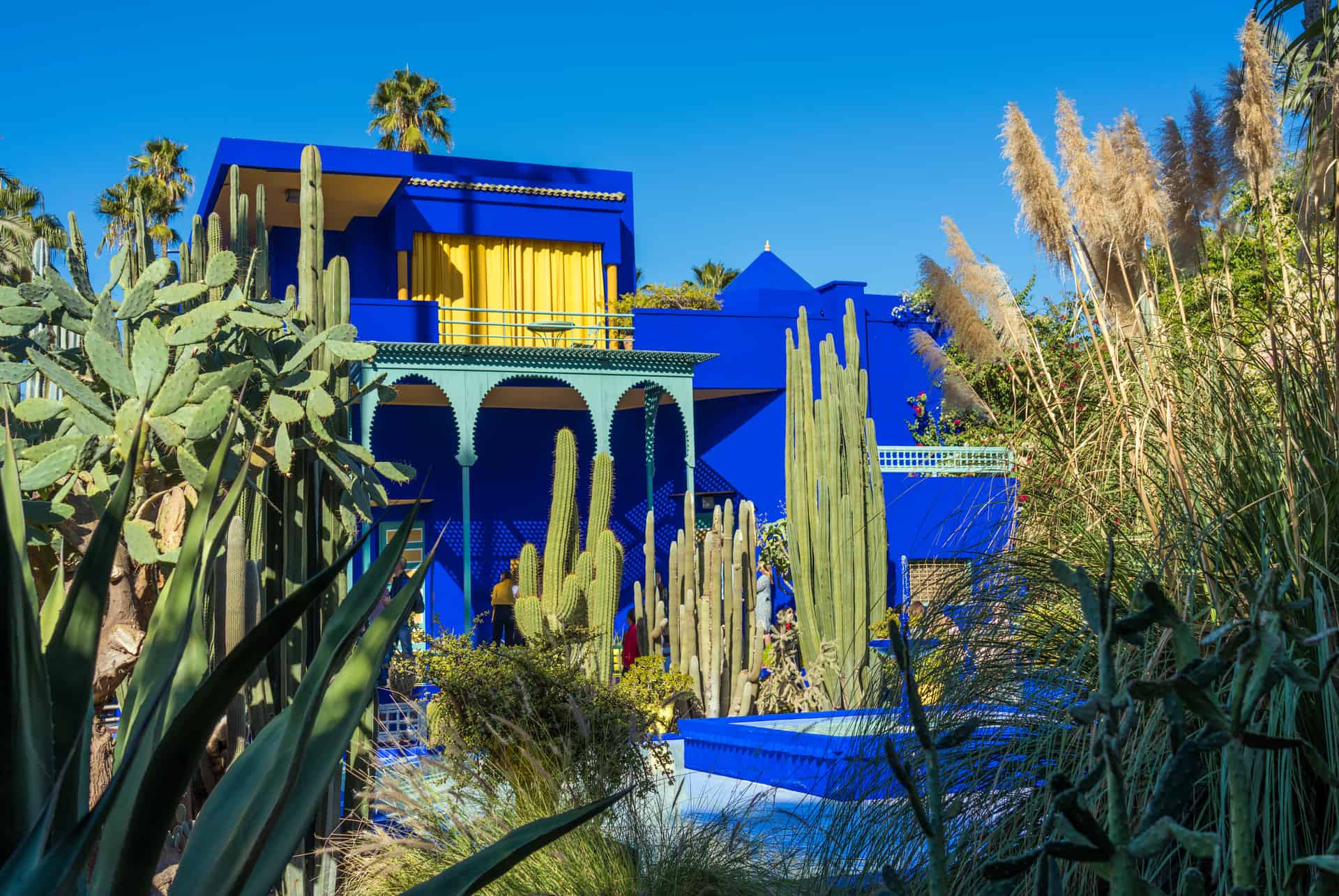 marrakech en juin jardin majorelle