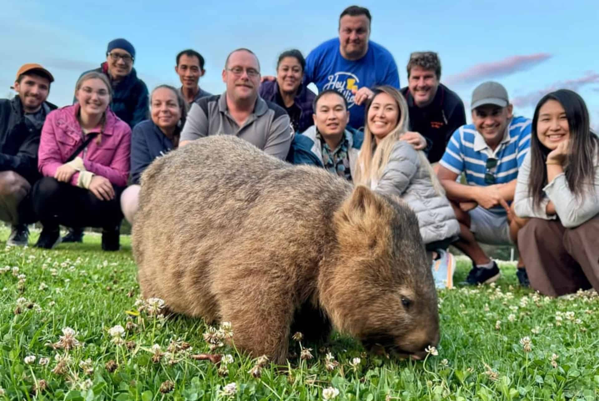 excursion parc animalier wombats que faire a sydney
