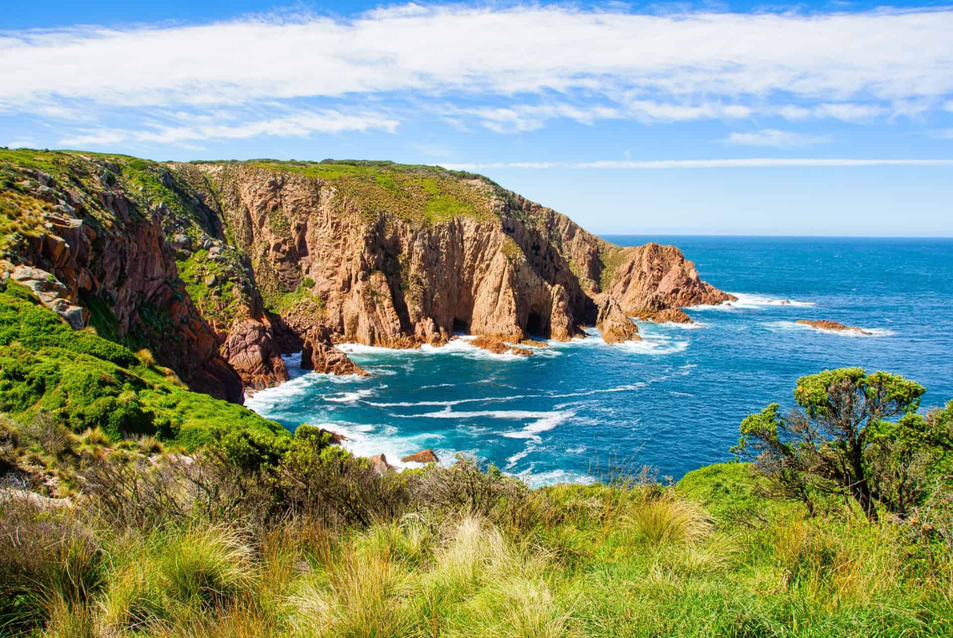 phillip island australie