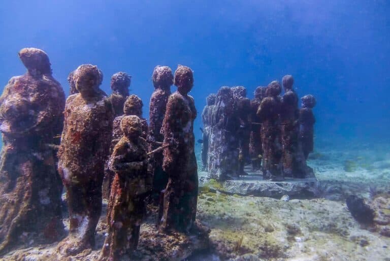 Plongée sous-marine au MUSA