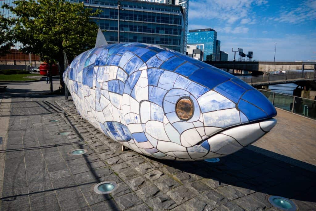 saumon de la sagesse