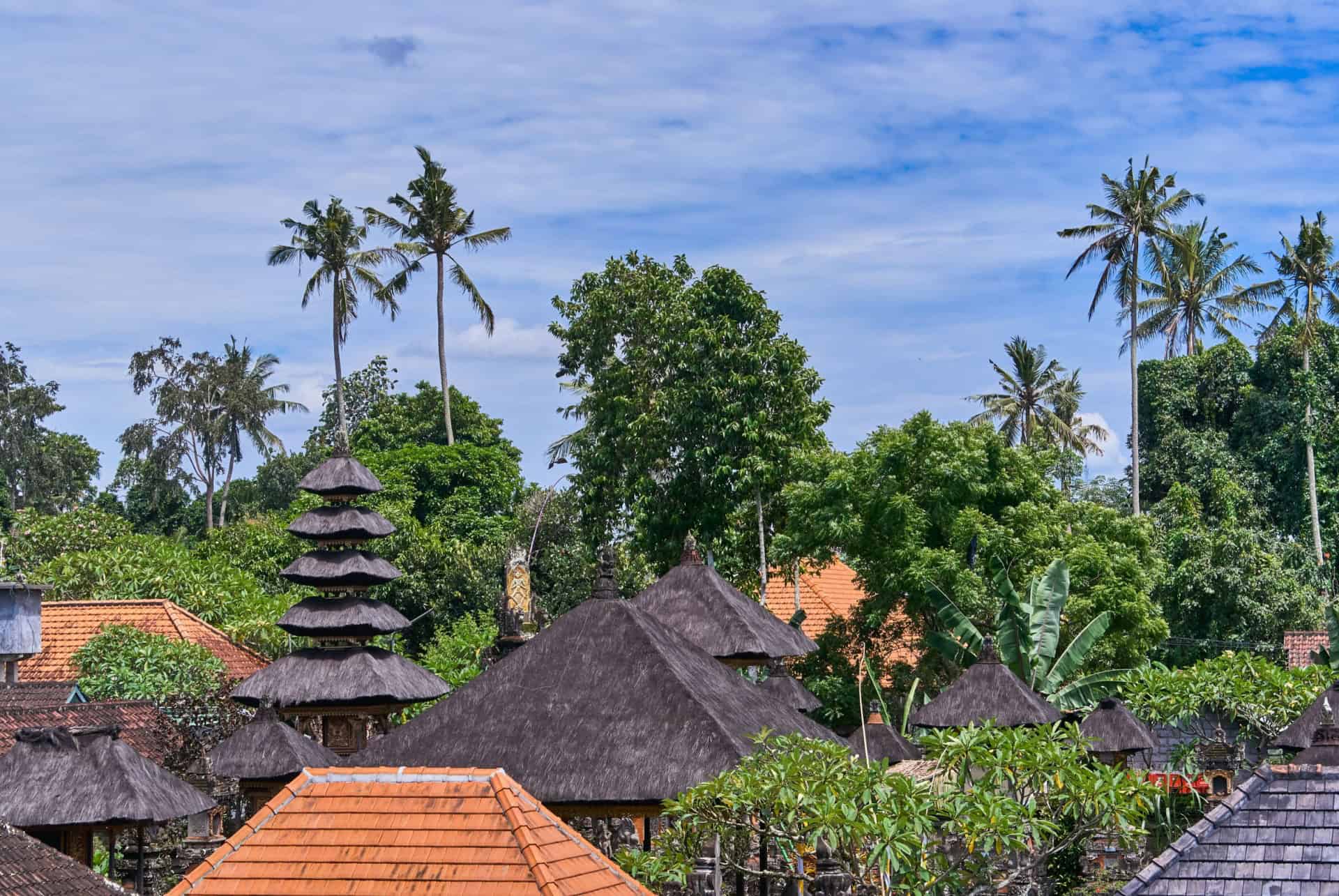 ubud centre ville