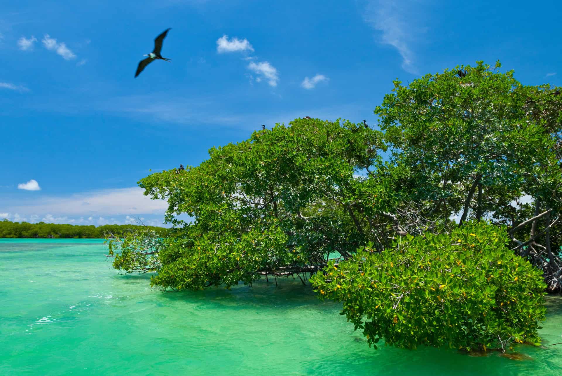 reserve naturelle de sian kaan