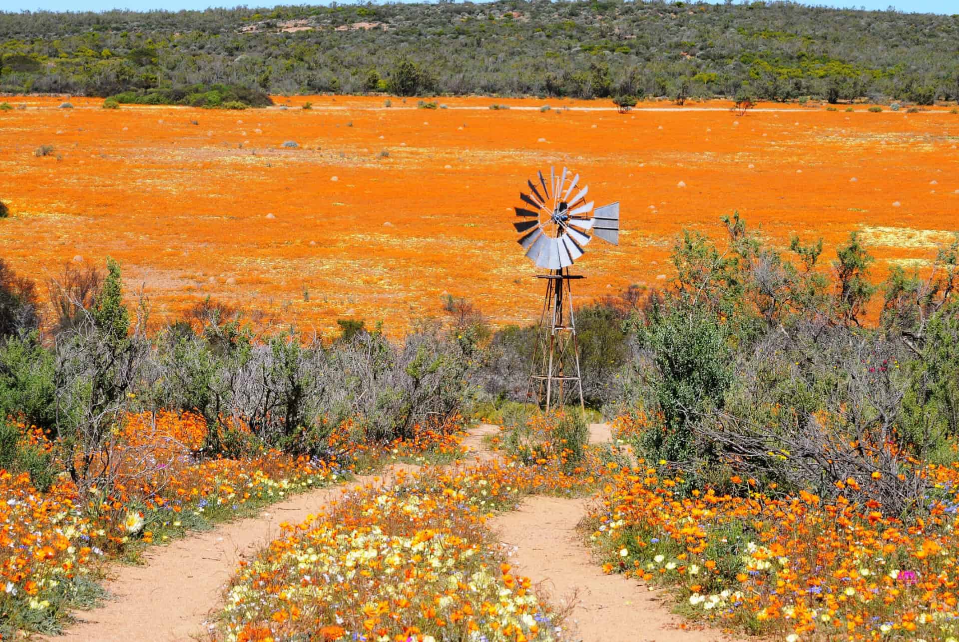 namaqua national park