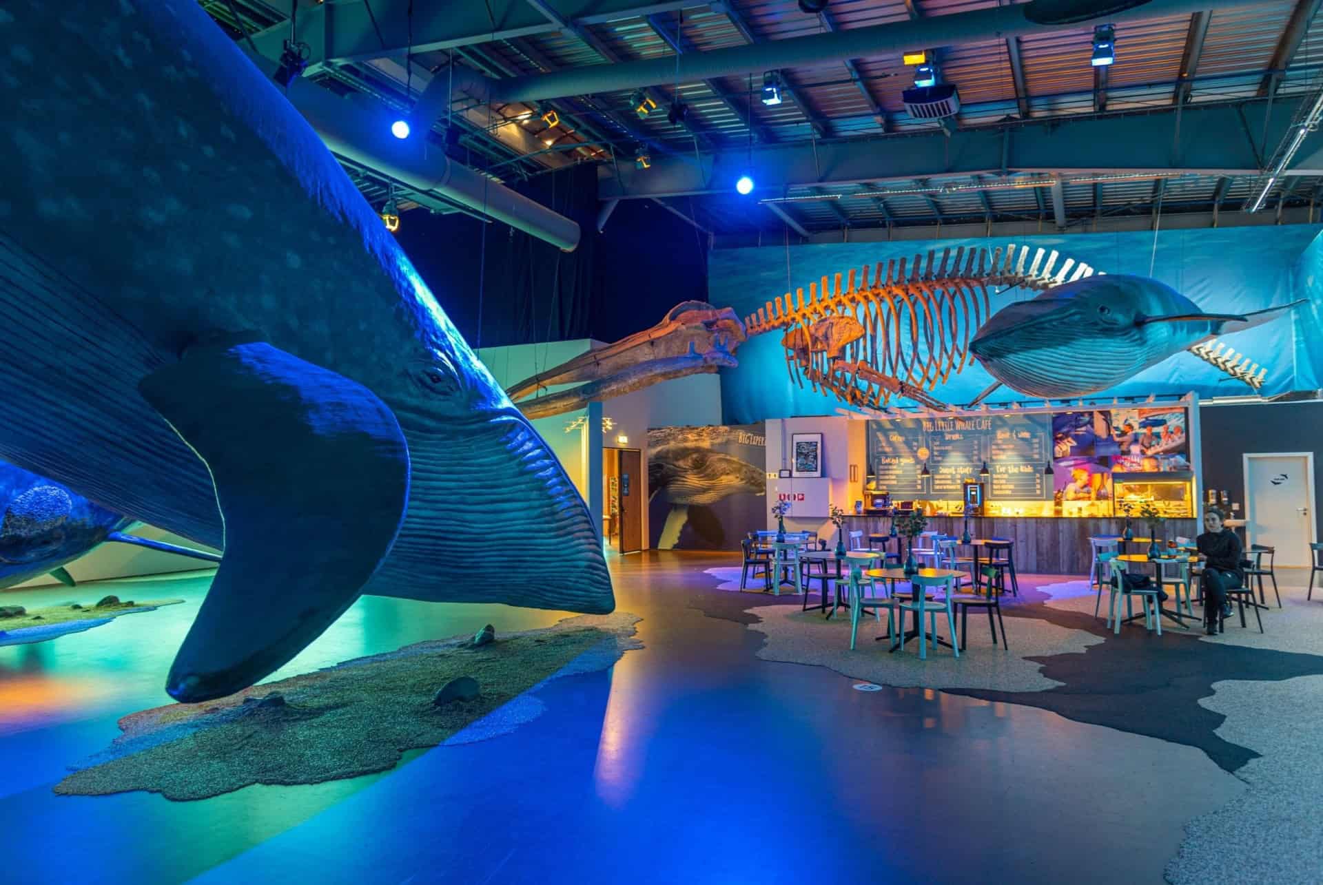 musee baleines reykjavik road trip islande