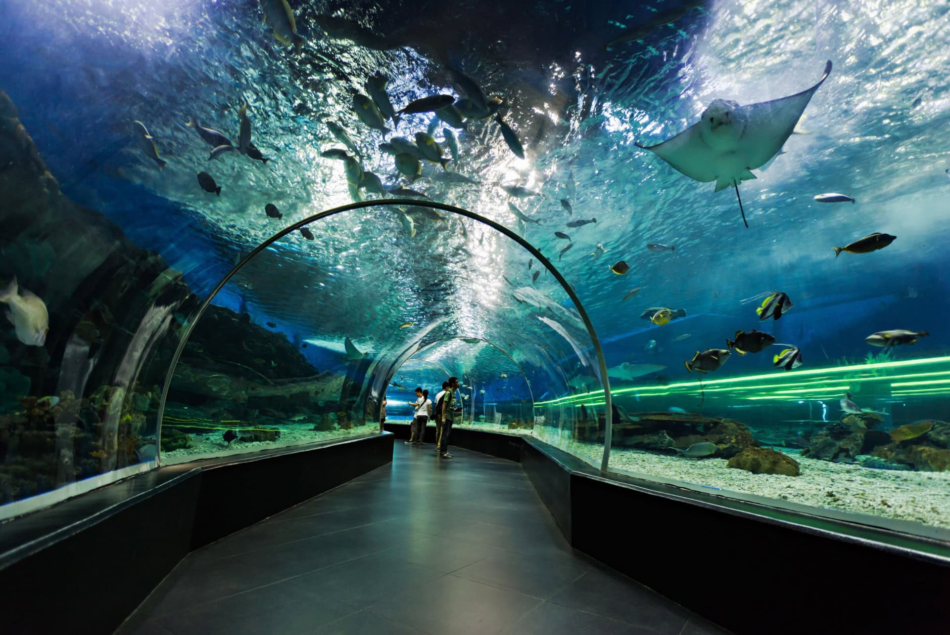 sea life malaysia pass singapour
