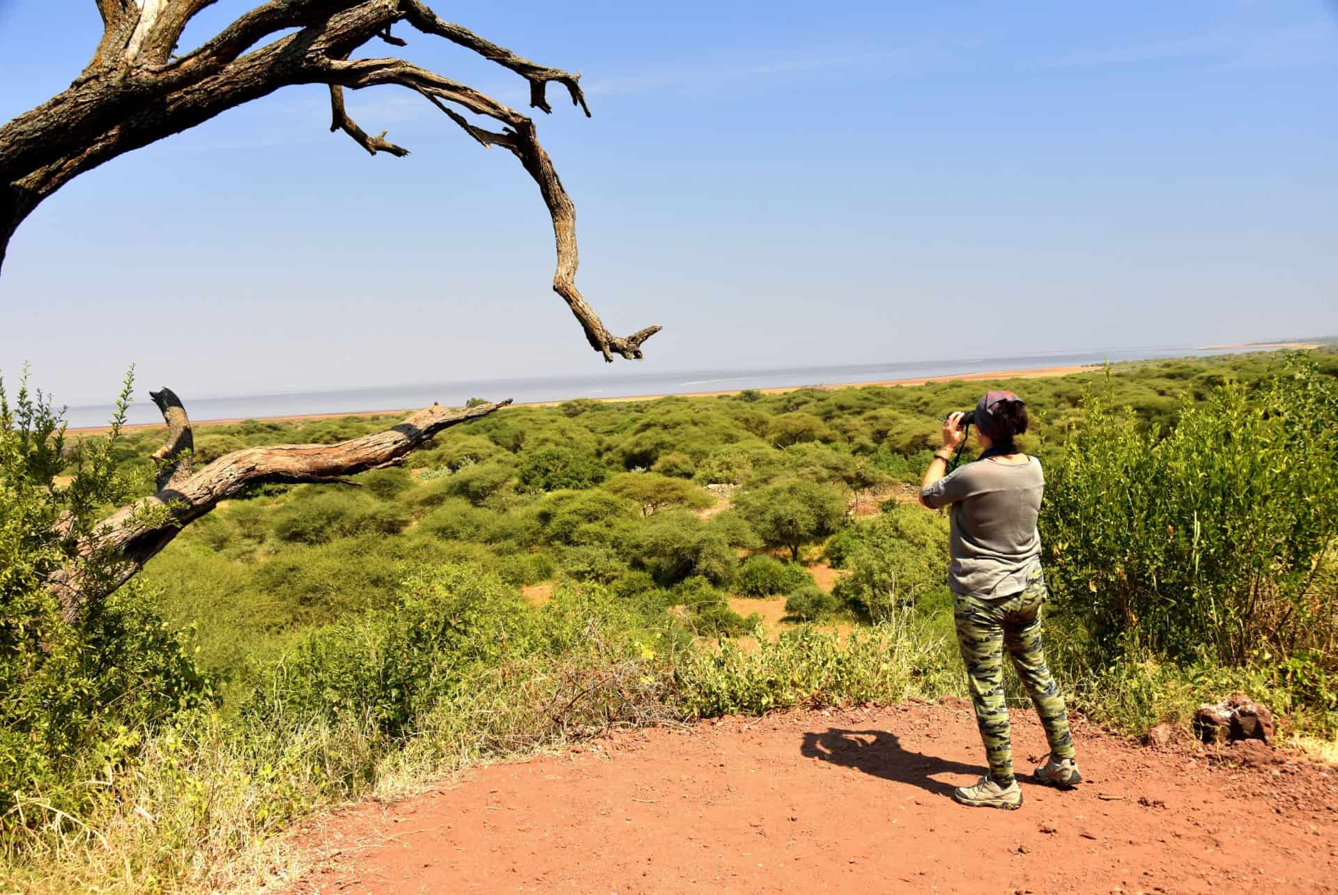 safari a pied dans le serengeti