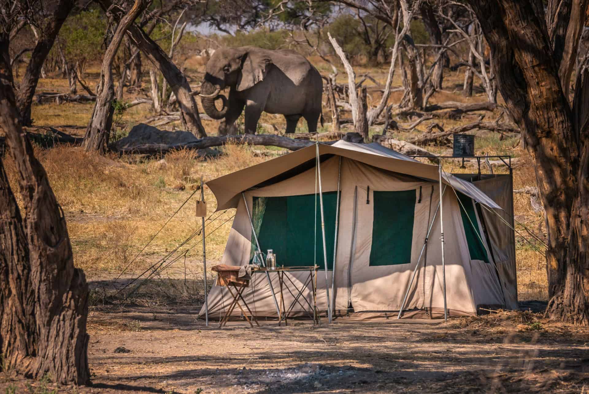 safari en camping
