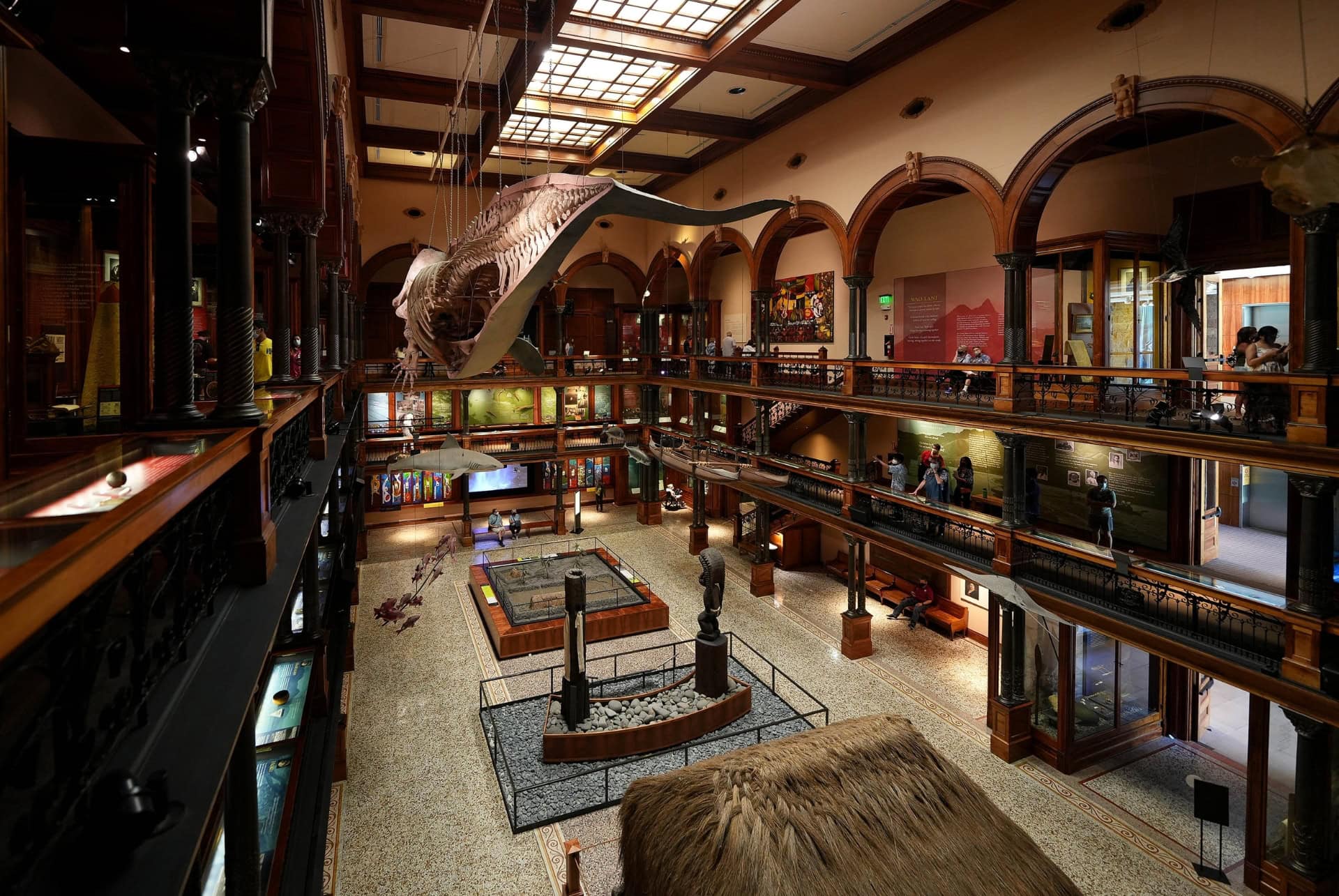 que faire a oahu visiter le musee histoire naturelle et culturelle de hawai