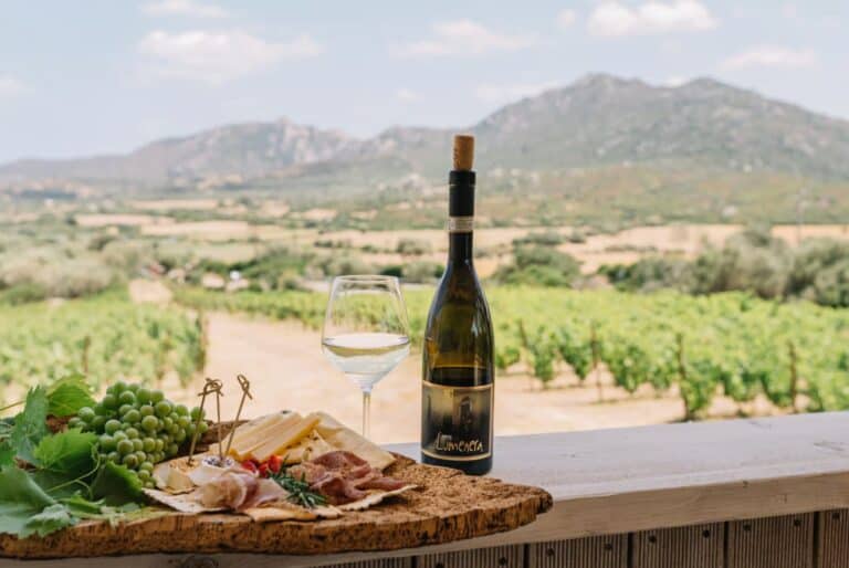 Visite guidée du vignoble Gallura avec dégustation
