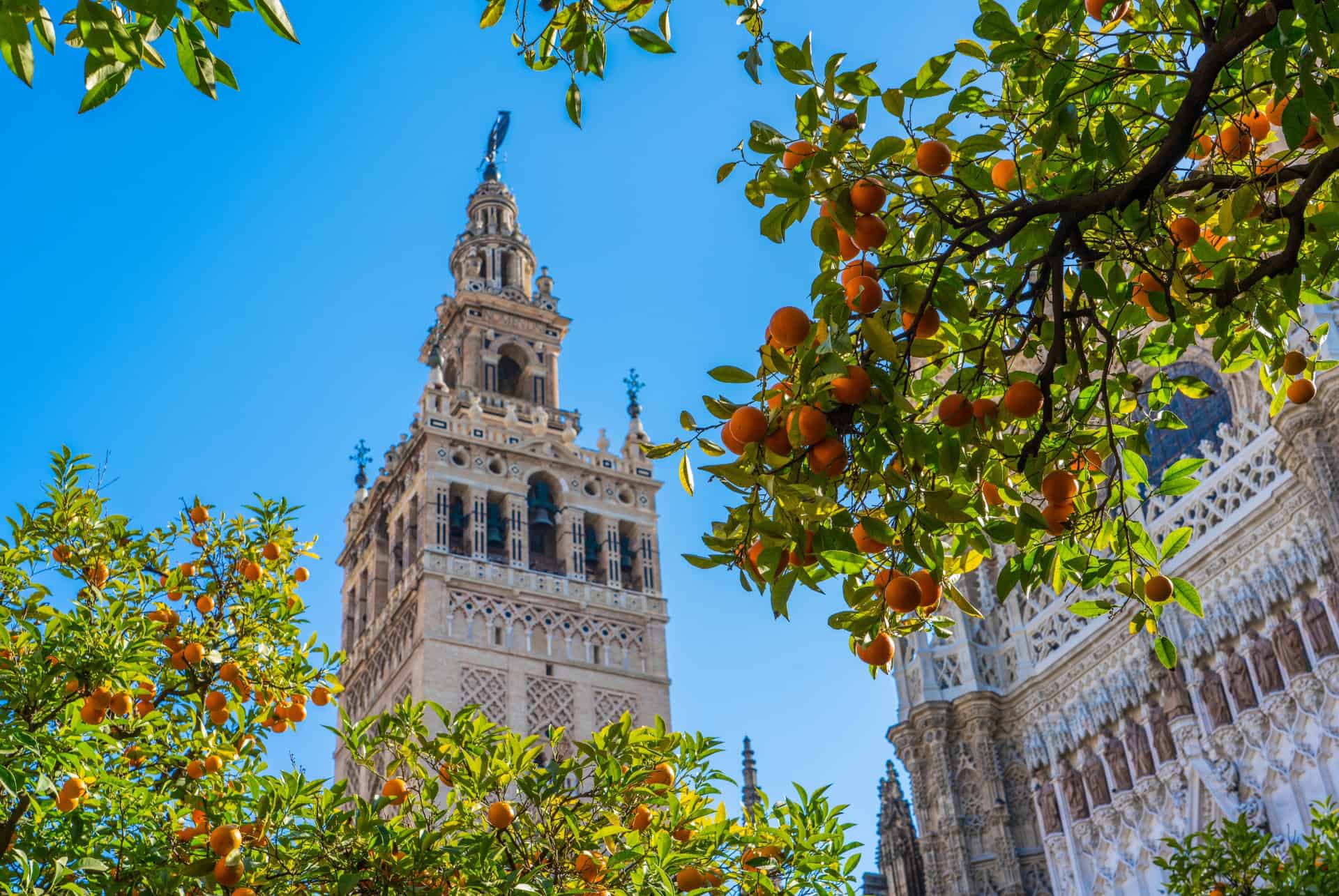 giralda séville