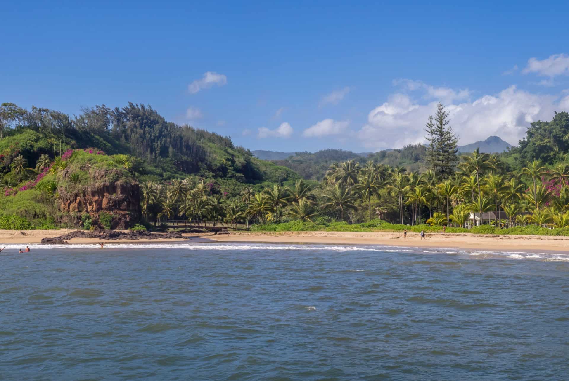 jardin mcbryde kauai panorama