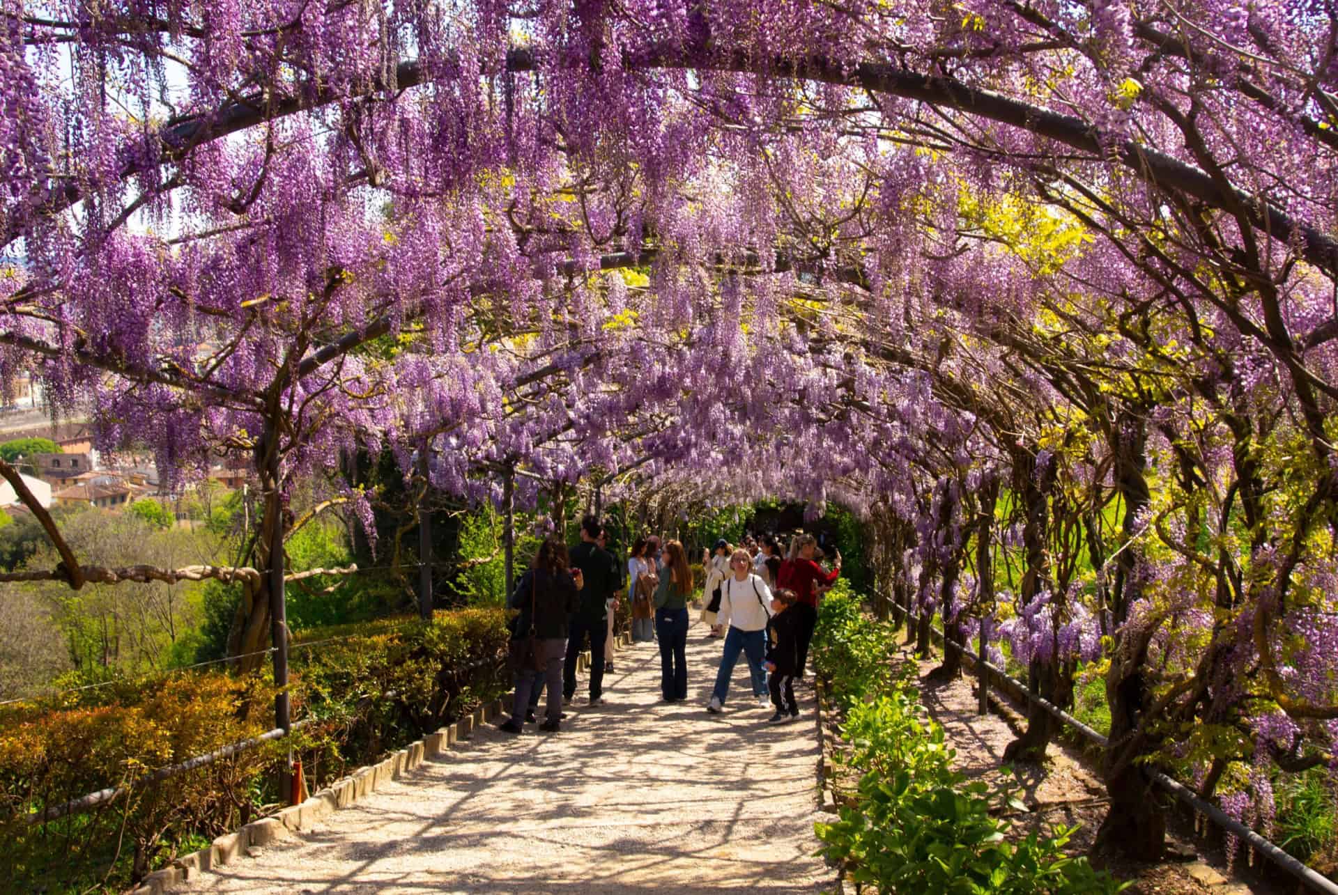 jardin bardini florence