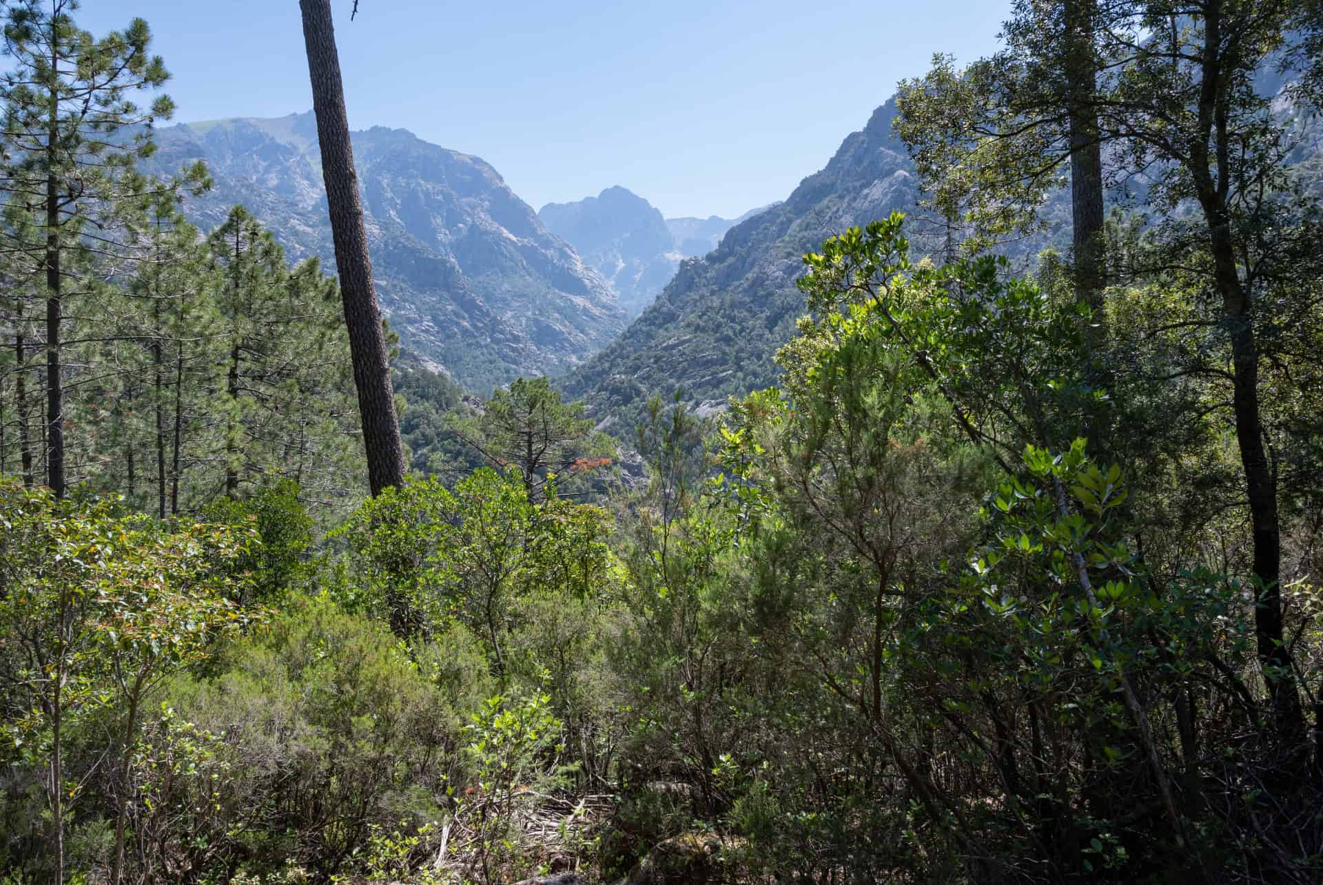 gr20 corse calenzana