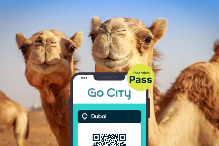 Essentials Pass Dubaï