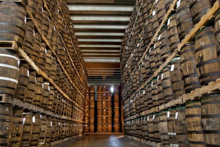 Visite de la fabrique de rhum Ron Barcerló