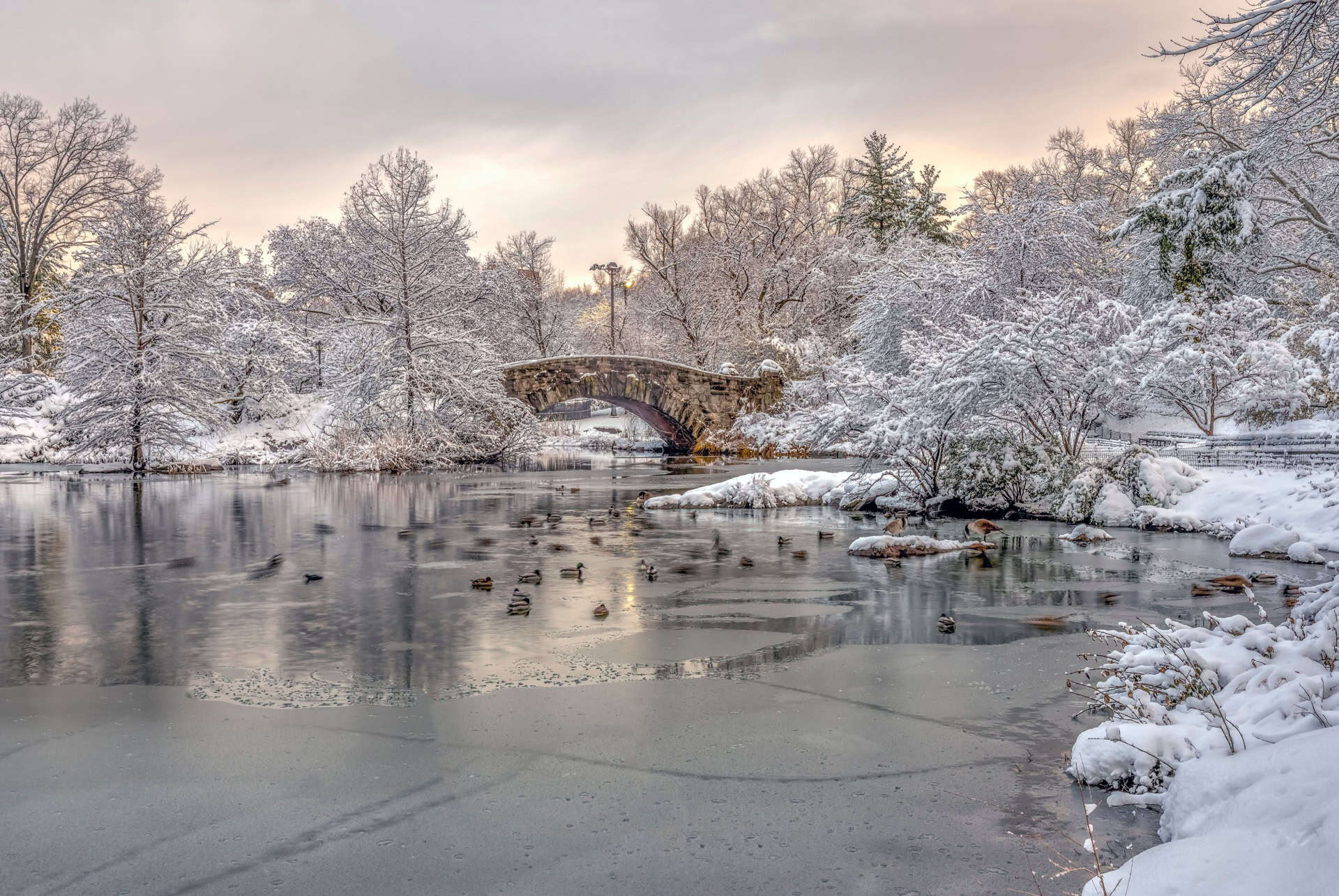 central park new york janvier