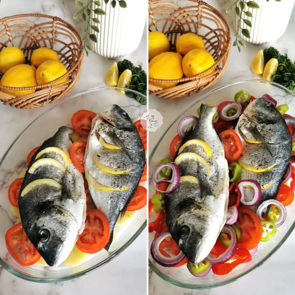 476348194_1178409417191096_8953365557068533648_n