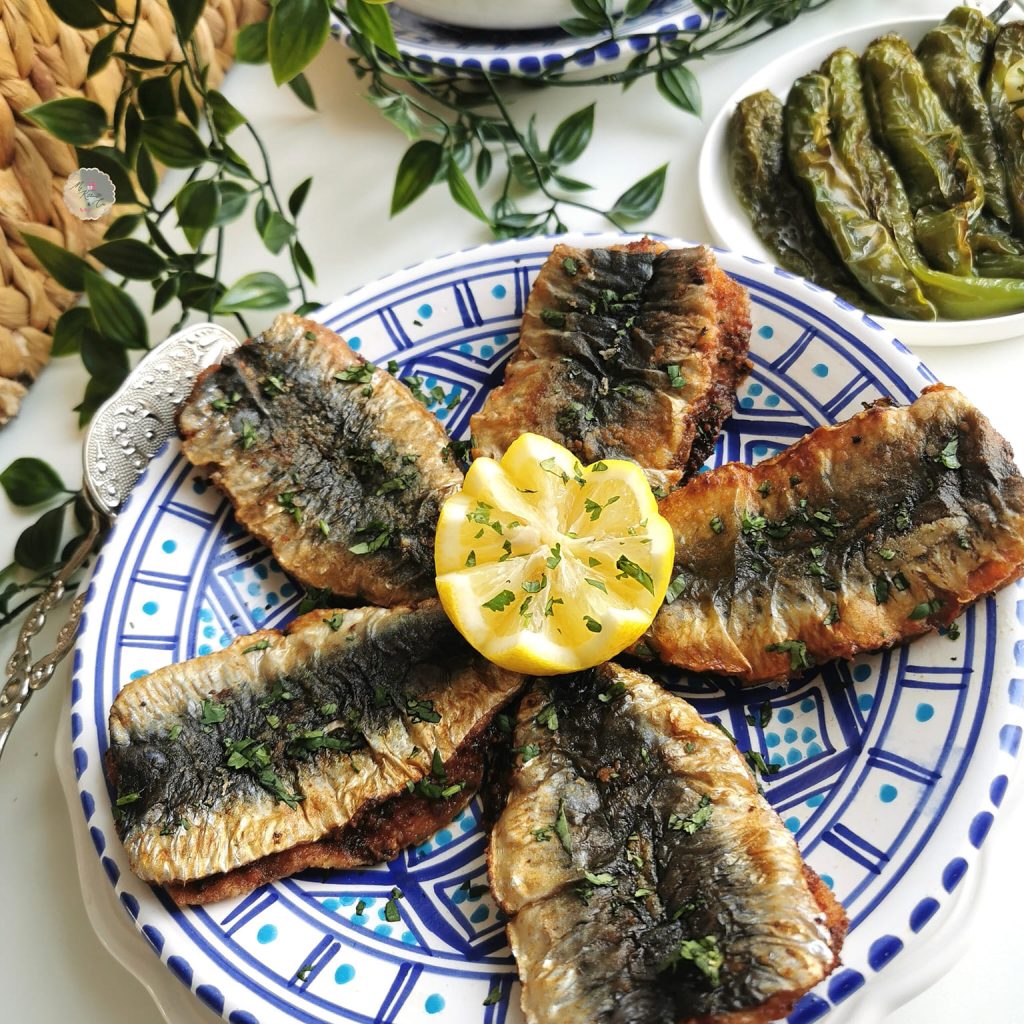 480045852_1182485890116782_7130574067619684667_n