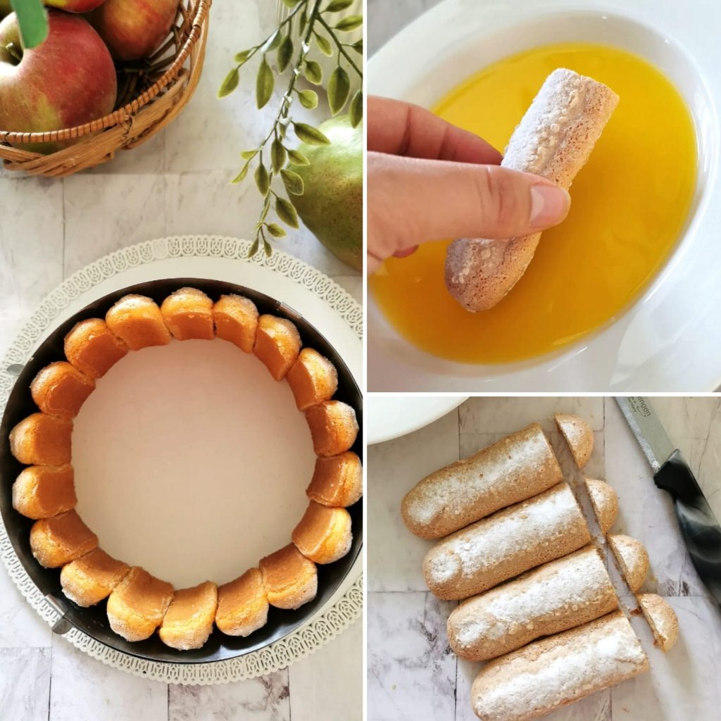 480734153_1185398539825517_1612336250050769093_n