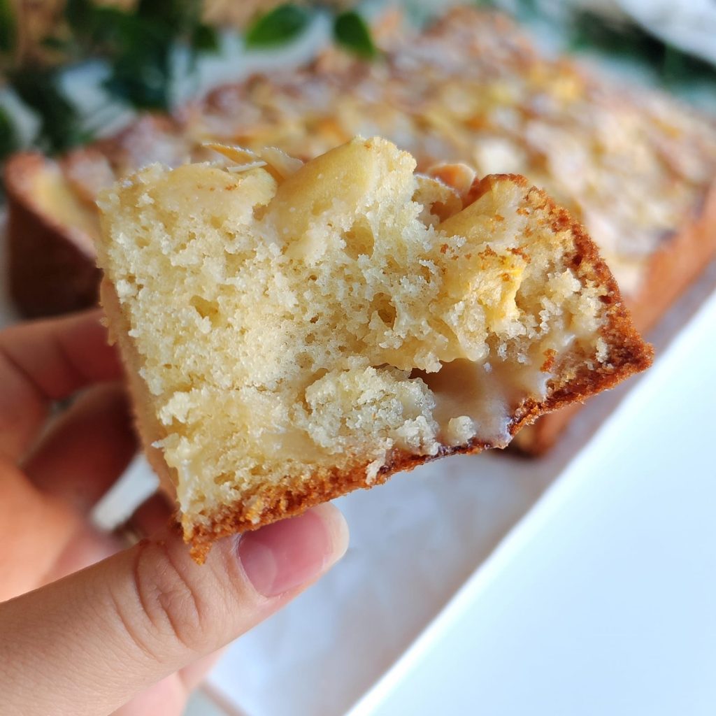 480795660_1189741396057898_8529379253621952086_n