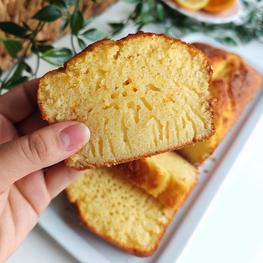 481017585_1193253499040021_6351365061314341218_n