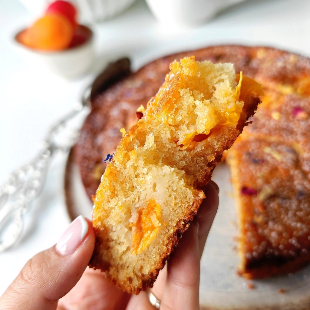 528937890_1314249273607109_2784721179506942860_n